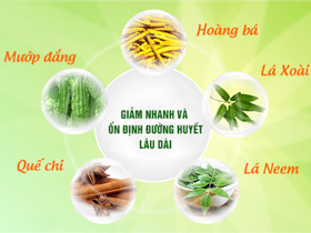 Dùng lá Neem chữa bệnh tiểu đường có giảm được thuốc tiêm?